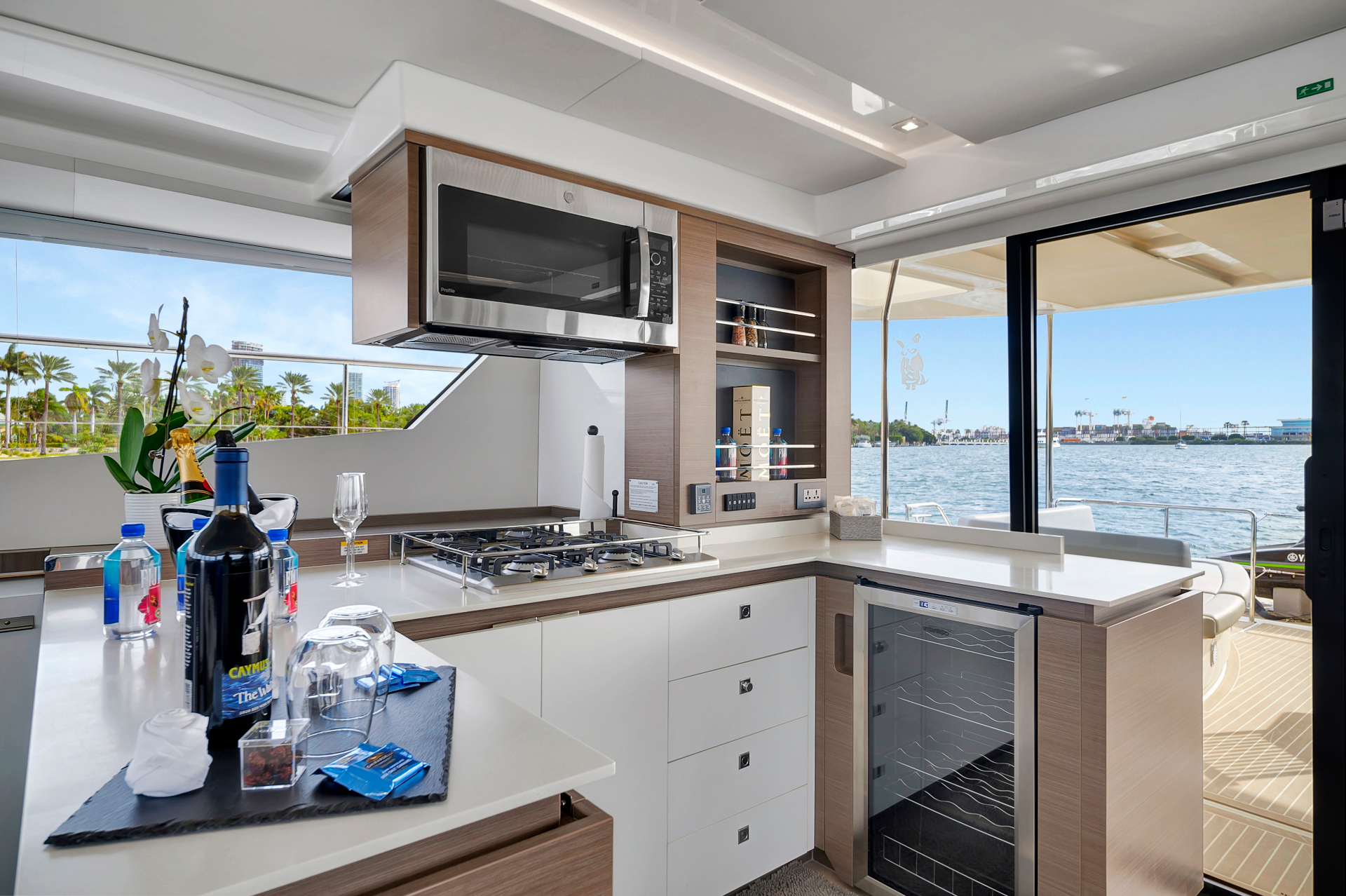Leopard Cat — 51 ft power catamaran